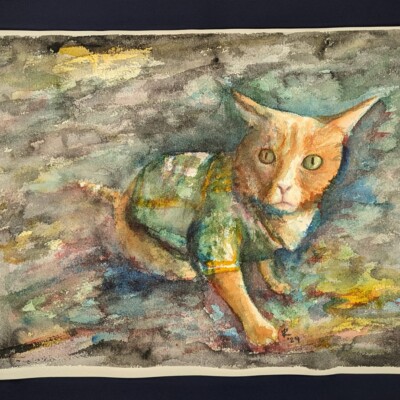 An unlikely fan spotted wearing a Green Bay Packers jersey