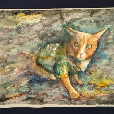 An unlikely fan spotted wearing a Green Bay Packers jersey